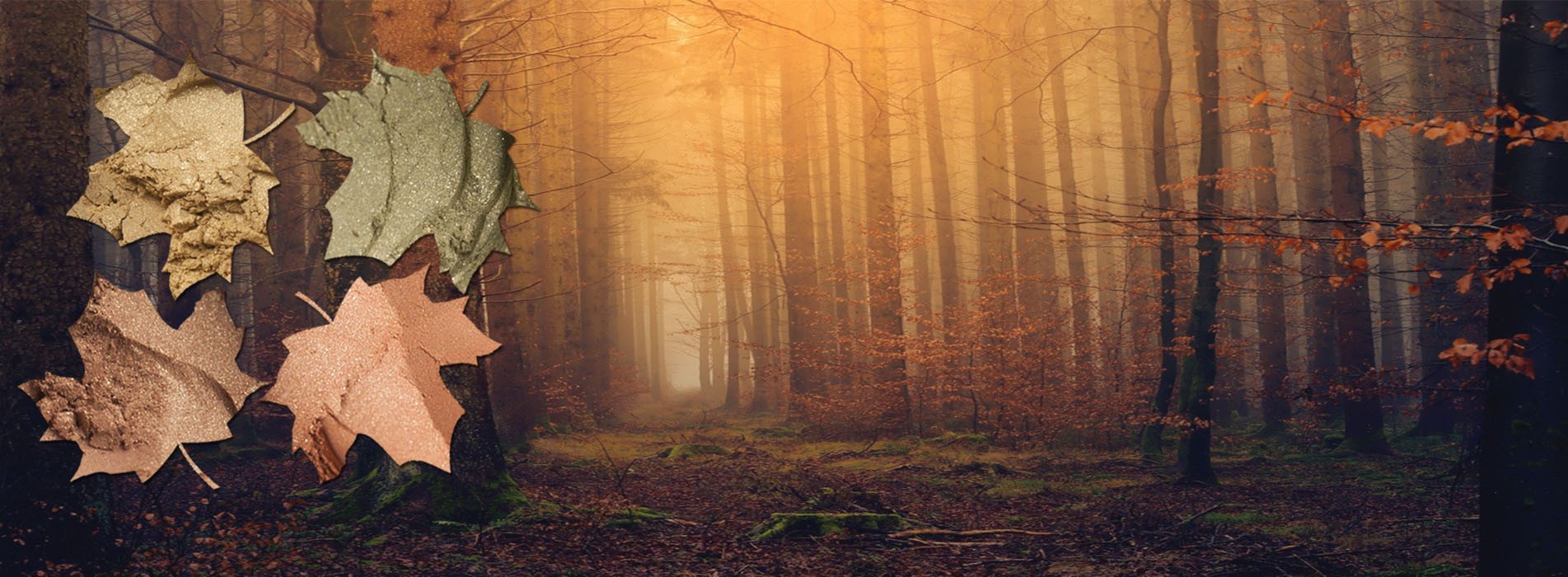 Natuurlijke minerale oogschaduw